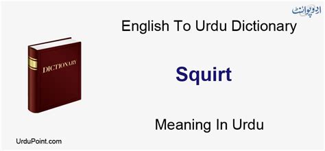 squirt meaning in urdu|Squirt Meaning in Urdu Pichkari marna پچکاری مارنا 